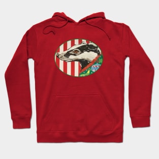 Ugly Sweater Badger Hoodie